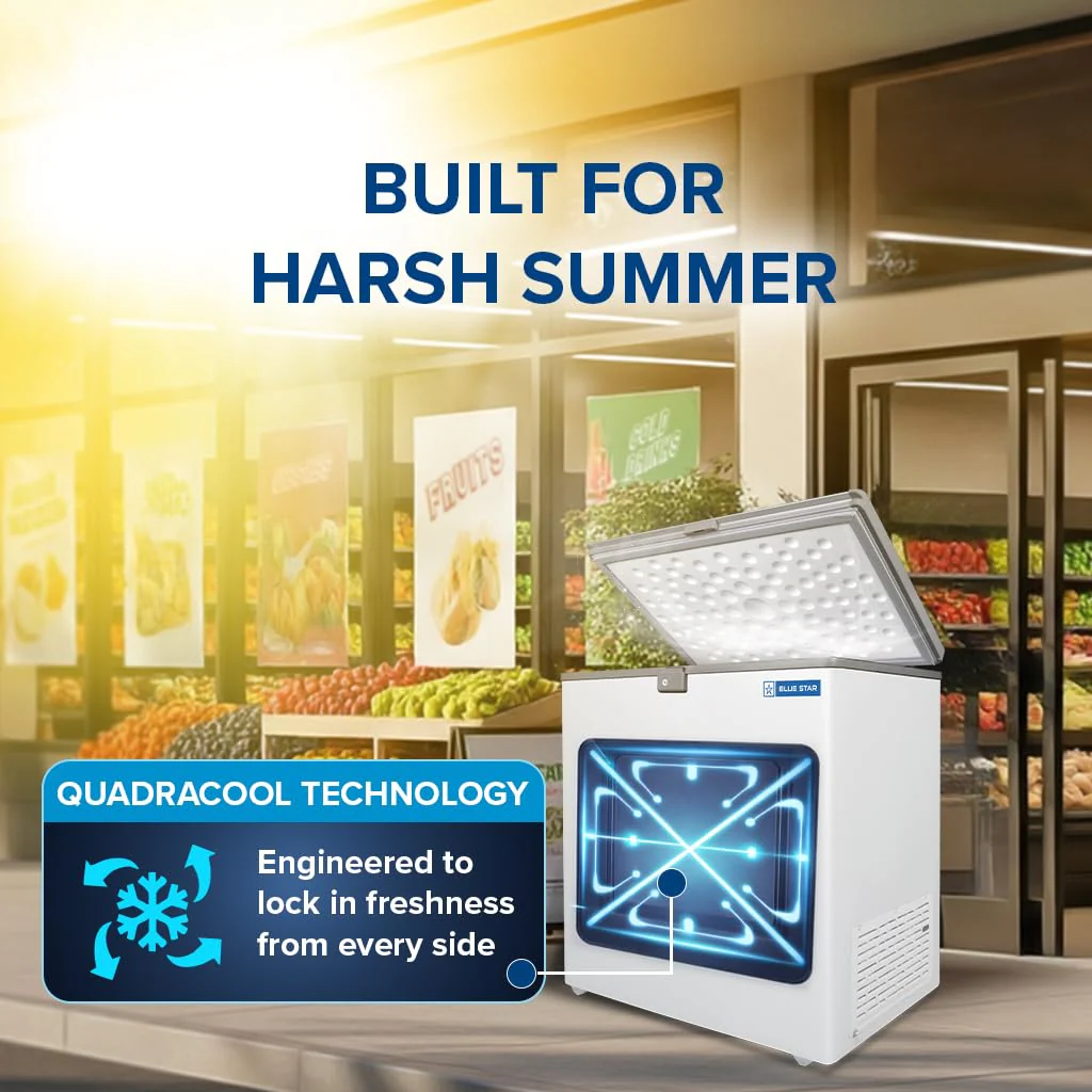 Blue Star HT3-N180, 180 Liter Hard Top Single Door Deep Freezer (161 Liter, White, 3-star) - Image 9