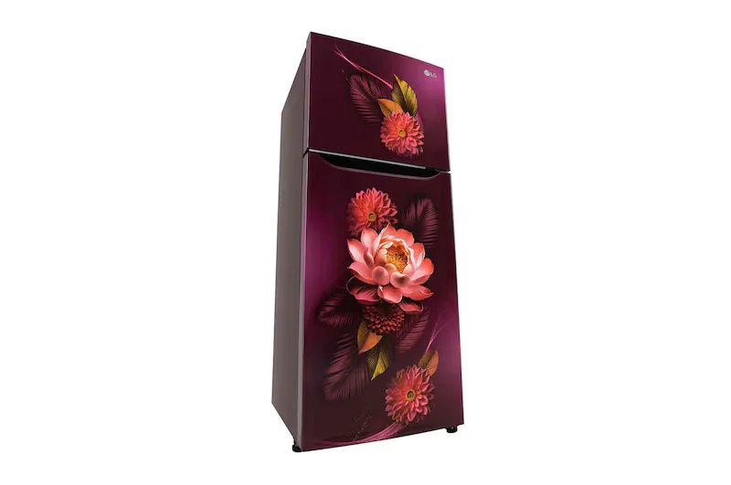 LG 240L Double Door Refrigerator with Smart Inverter Compressor, Multi-Air Flow, Red Water Lily, 2 Star GL-S292SRWY - Image 5