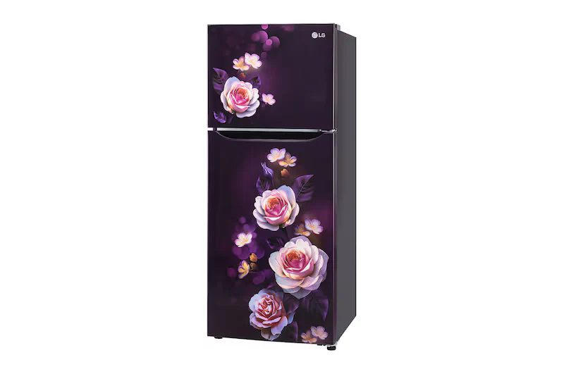LG 242L Double Door Refrigerator with Smart Inverter Compressor, Multi-Air Flow, Purple Bloom, 2 Star GL-N292DPBY - Image 5