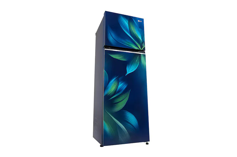 LG 246L Double Door Refrigerator with Smart Diagnosis, Multi-Air Flow, Blue Aurora Finish, 3-Star GL-S262SBAX - Image 4