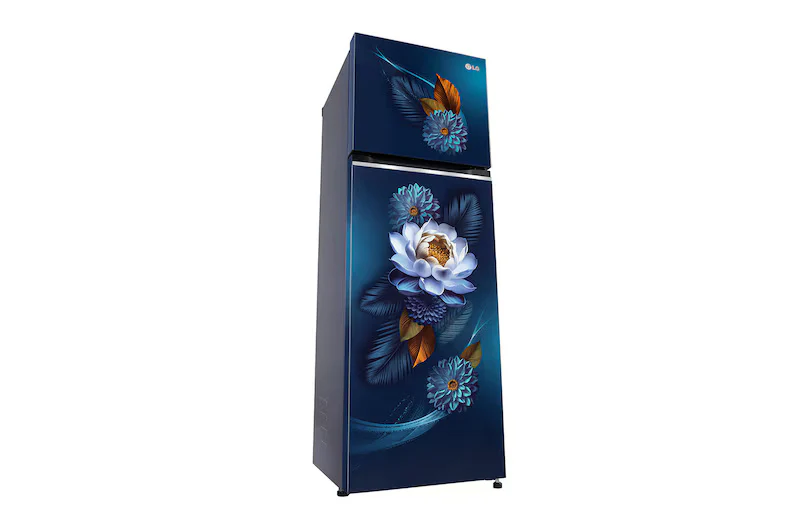 LG 272L Double Door Refrigerator, Smart Inverter Compressor, Convertible, Frost-Free, Blue Waterlily Finish, 2 Star GL-S312SBWY - Image 5