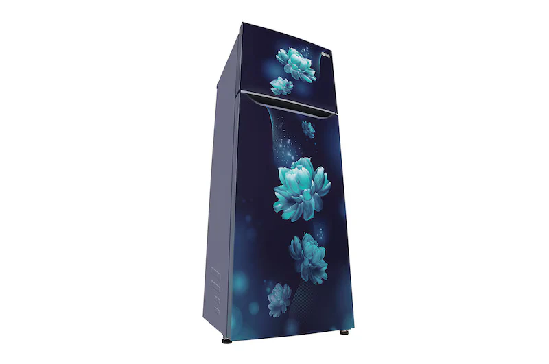 LG GL-N292BBCY 242 L 2 Star Frost-Free Double Door Refrigerator (Blue Charm) | Smart Inverter Compressor, Multi Air Flow - Image 5