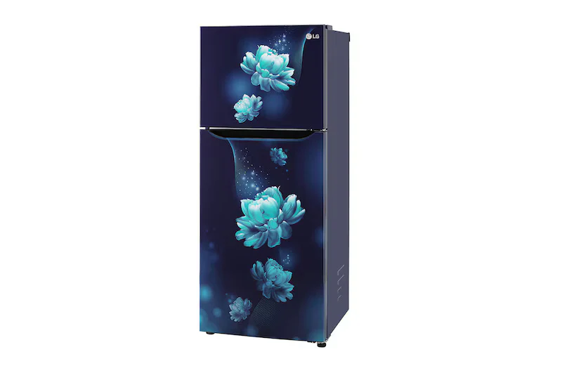 LG GL-N292BBCY 242 L 2 Star Frost-Free Double Door Refrigerator (Blue Charm) | Smart Inverter Compressor, Multi Air Flow - Image 6
