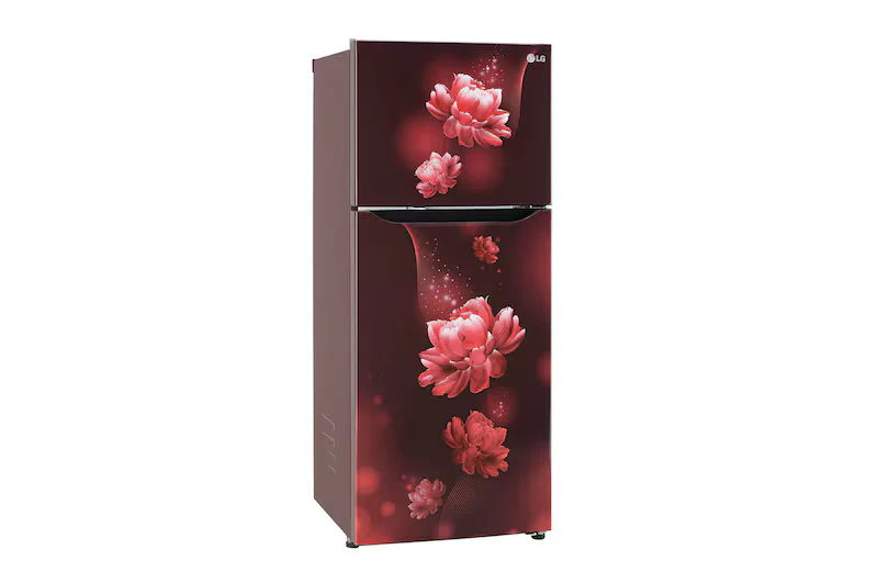 LG GL-N292BSCY 242L, 2 Star, Smart Inverter Compressor, Scarlet Charm Finish, Frost-Free Double Door Refrigerator - Image 5