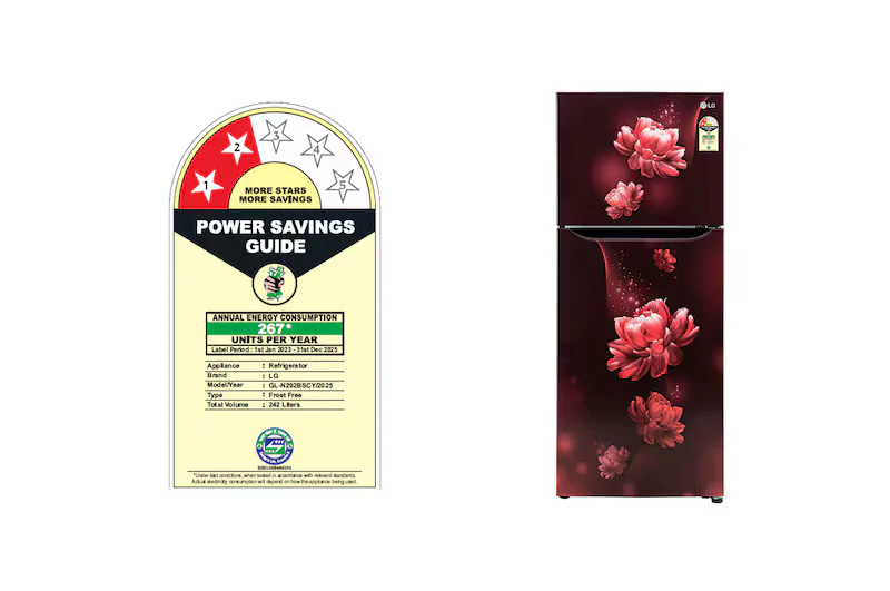 LG GL-N292BSCY 242L, 2 Star, Smart Inverter Compressor, Scarlet Charm Finish, Frost-Free Double Door Refrigerator - Image 7